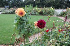 6 jardin Eveque (9)